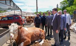 BAŞKAN KAYA, KURBAN PAZARINI ZİYARET ETTİ