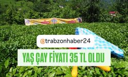 2026 yılı yaş çay alım fiyatı 35 lira olarak açıklandı