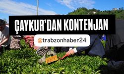 ÇAYKUR’dan Kontenjan Kararı