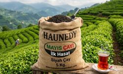 Çay Severlere Müjde: En Değerli Hasat "Mayıs Çayı" Satışa Çıktı