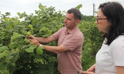 Karadeniz Havzası’nda uluslararası tarımsal iş birliği