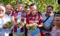 GENEL BAŞKAN ÖZEL, BAŞKAN KAYA İLE BİRLİKTE FINDIK TOPLADI “YENİ PARTİ İKTİDARINDA HİÇ KİMSE TABAN FİYATIN ALINDA ALIM-S