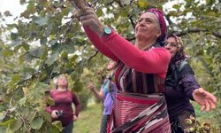 YENİ PARTİ TRABZON MİLLETVEKİLİ SİBEL SUİÇMEZ, TBMM’DEN İKTİDARA SESLENDİ: “KARADENİZ’İN EMEĞİNİ SÖMÜRMEYİN, FINDIK TABA