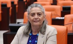 SİBEL SUİÇMEZ, SALDIRIYA UĞRAYAN TÜRK GEMİLERİNİ MECLİS’E TAŞIDI