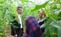 AKÇAABAT KAYMAKAMI ABDULLAH ŞAHİN KADIN ÜRETİCİLERİ ZİYARET ETTİ