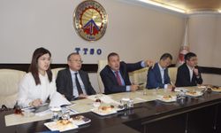 Çin heyetine Yatırım Adası Sunumu yapıldı, somon üretimi ve turizm görüşüldü