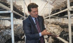 EN MUTLU KÖY’DE ÜRETİM CANLANDI, TOPRAK BEREKET SAÇTI