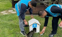 ÜLKÜ OCAKLARI’NDAN 4 EKİM HAYVANLARI KORUMA GÜNÜNDE ANLAMLI ETKİNLİK