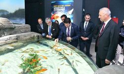 AKVARYUM VE KUŞ PARKI İLGİ ODAĞI OLDU ORTAHİSAR BELEDİYESİ’NE AİT TESİSLERİ OCAK-EYLÜL DÖNEMİNDE YAKLAŞIK 195 BİN KİŞİ Z