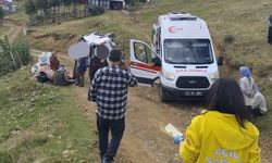 Sis Dağı Yaylası’nda Trafik Kazası: 4 Yaralı
