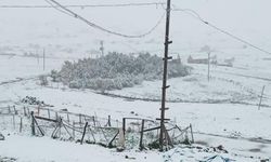 YILIN İLK KARI TRABZON YAYLALARINA DÜŞTÜ
