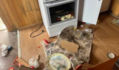 Trabzon’da Ayılar Yayla Evlerine Girdi: Kapı-Pencere Kırıp Talan Ettiler