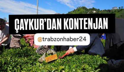ÇAYKUR’dan Kontenjan Kararı