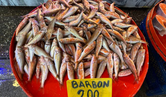 Trabzon'da Balık Fiyatları Arttı