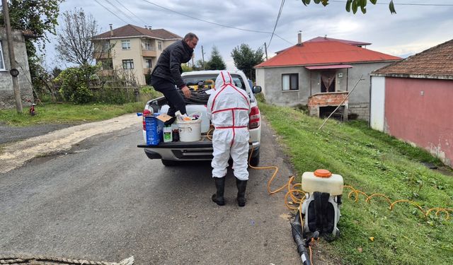 Ortahisar Belediyesi, kahverengi kokarca mücadelesinde ilaçlama çalışmalarına başladı