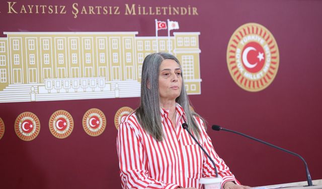 CHP Trabzon Milletvekili Sibel Suiçmez’den KKTC’nin 41. Kuruluş Yıl Dönümü Mesajı