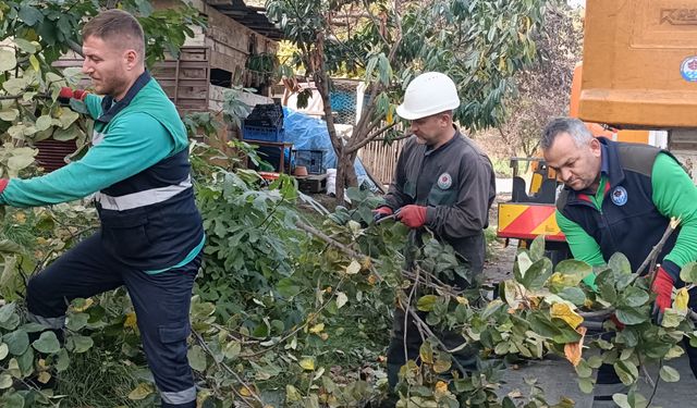 BÜYÜKŞEHİR'DEN SONBAHAR TEMİZLİĞİ