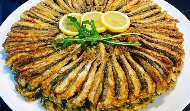 Karadeniz’de hamsi bolluğu