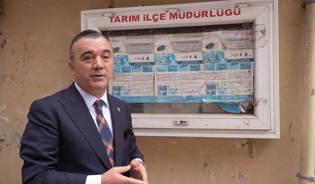 SİYASET