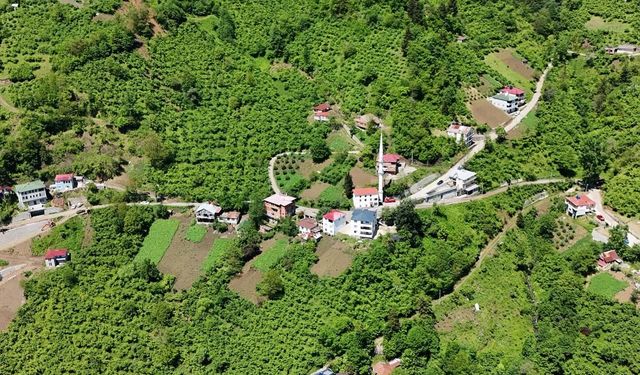 TRABZON