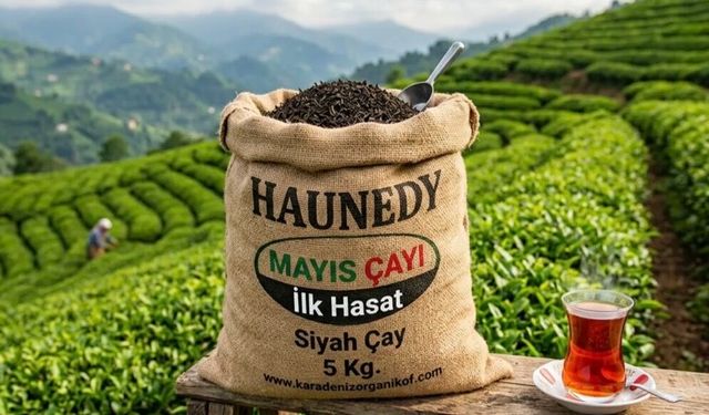 Çay Severlere Müjde: En Değerli Hasat "Mayıs Çayı" Satışa Çıktı