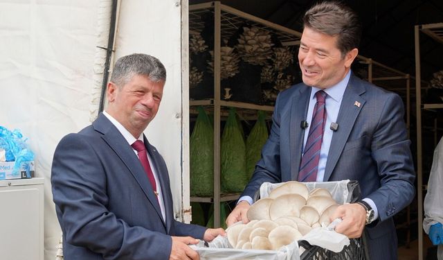 BAŞKAN KAYA, EN MUTLU KÖY'DE İSTİRİDYE MANTARI HASAT PROGRAMINA KATILDI