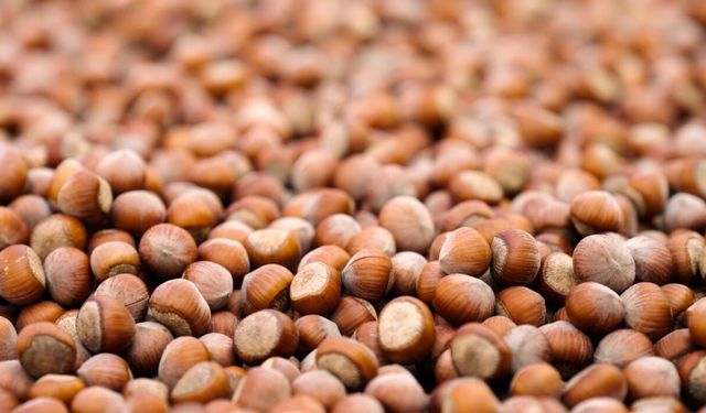 FERRERO DEĞERLİ TARIM PROGRAMI FERRERO GRUBU’NUN TEDARİK ZİNCİRİNİ DAHA DAYANIKLI HALE GETİRDİ