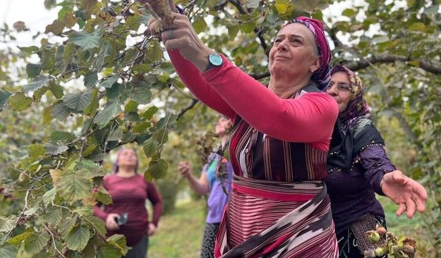 YENİ PARTİ TRABZON MİLLETVEKİLİ SİBEL SUİÇMEZ, TBMM’DEN İKTİDARA SESLENDİ: “KARADENİZ’İN EMEĞİNİ SÖMÜRMEYİN, FINDIK TABA