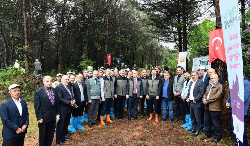Trabzon’da “Orman Benim”Kampanyası Tanıtıldı