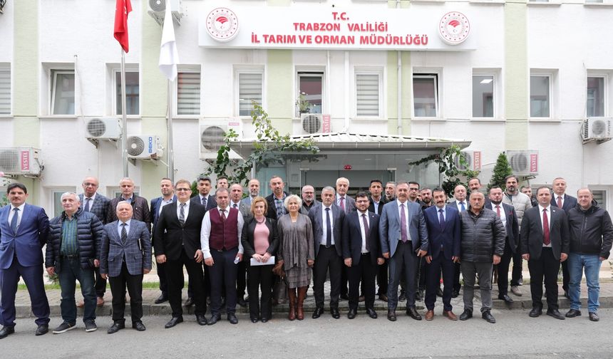 Tarım Bakanlığının Küçük Aile İşletmelerine Verdiği Destek En Çok Trabzon'a Yaradı