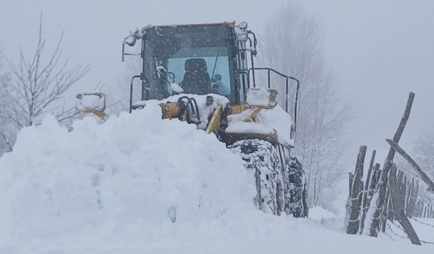Şalpazarı Beyaza Büründü