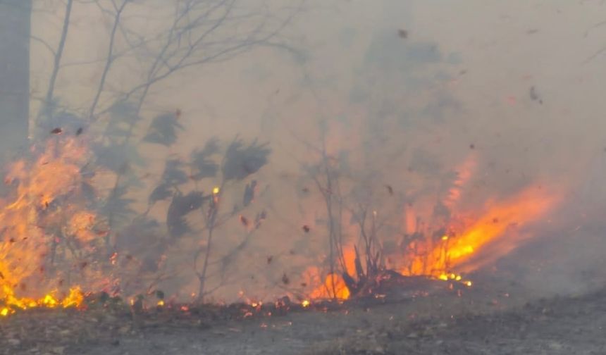 Sürmene’de başlayan yangın Araklı’ya sıçradı