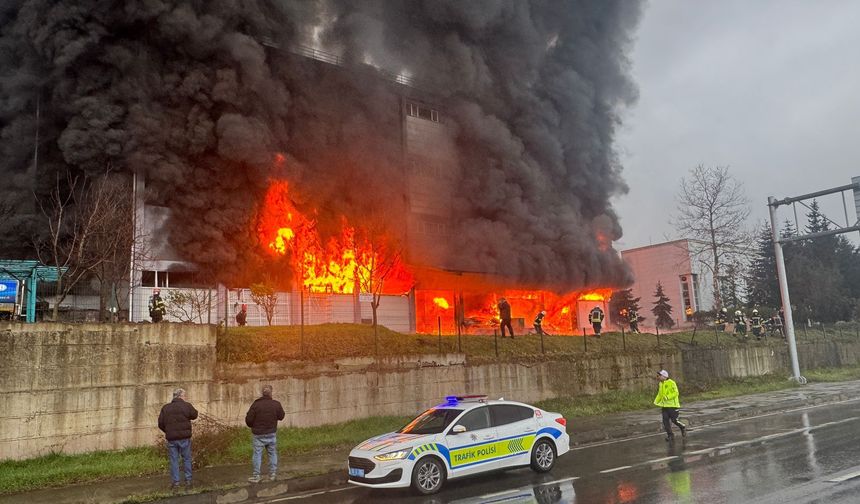 Trabzon'da Fabrika Yangını! Arsin OSB'de Fındık Deposu Alev Alev Yanıyor