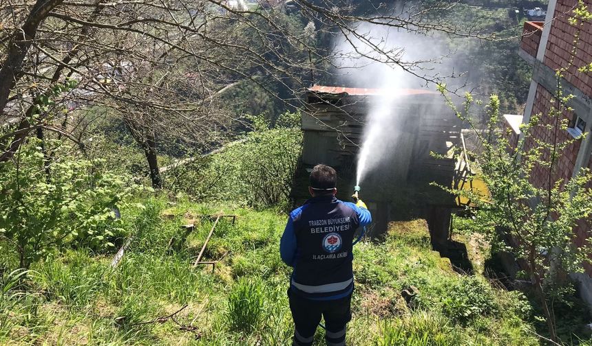 BÜYÜKŞEHİR BELEDİYESİNDEN KOKARCAYLA MÜCADELEYE DESTEK