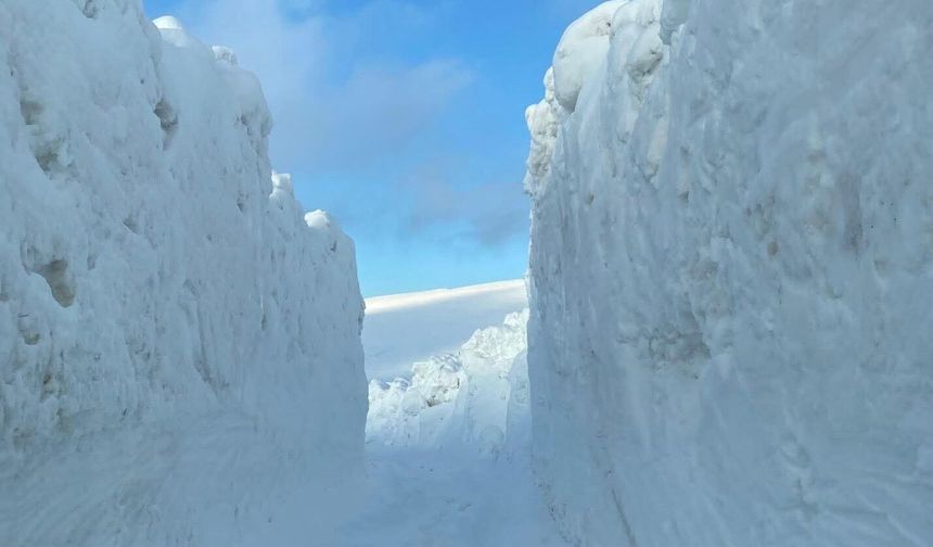 Trabzon Yayla Yolları Zor Şartlarda Açılıyor