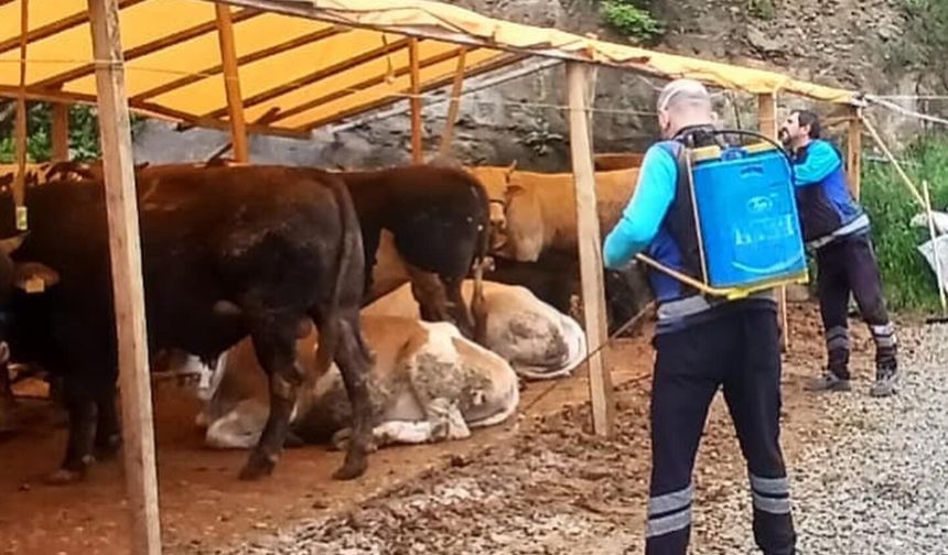 BÜYÜKŞEHİR’DEN KURBAN ALANLARINDA HİJYEN SEFERBERLİĞİ