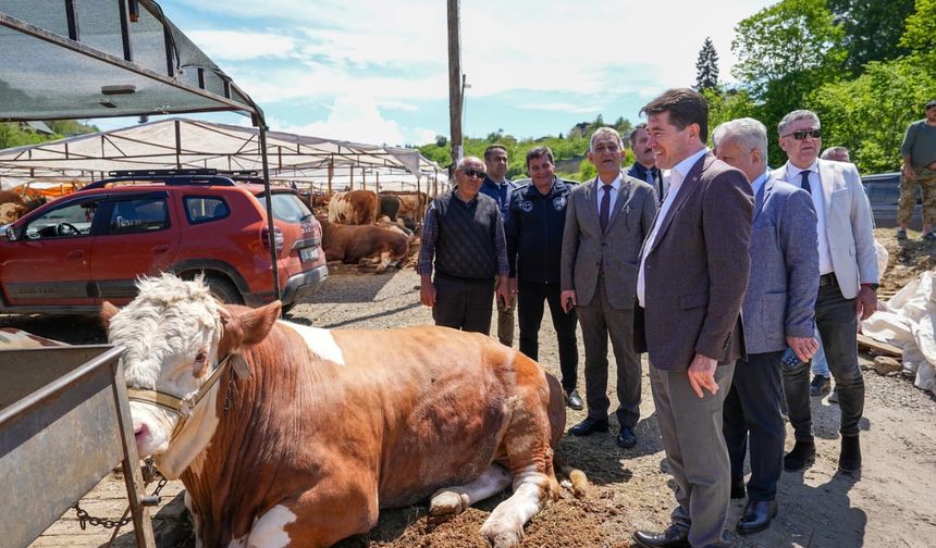 BAŞKAN KAYA, KURBAN PAZARINI ZİYARET ETTİ