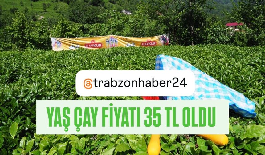 2026 yılı yaş çay alım fiyatı 35 lira olarak açıklandı