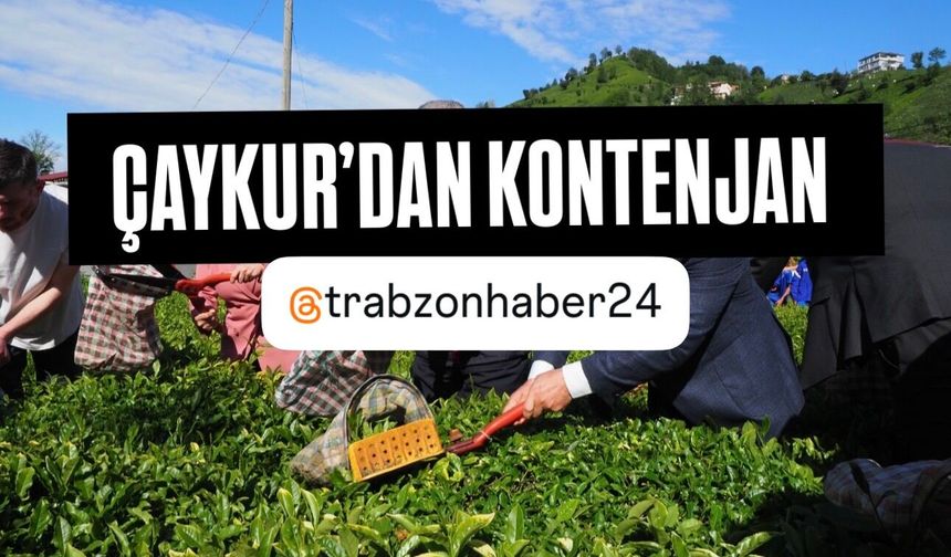 ÇAYKUR’dan Kontenjan Kararı