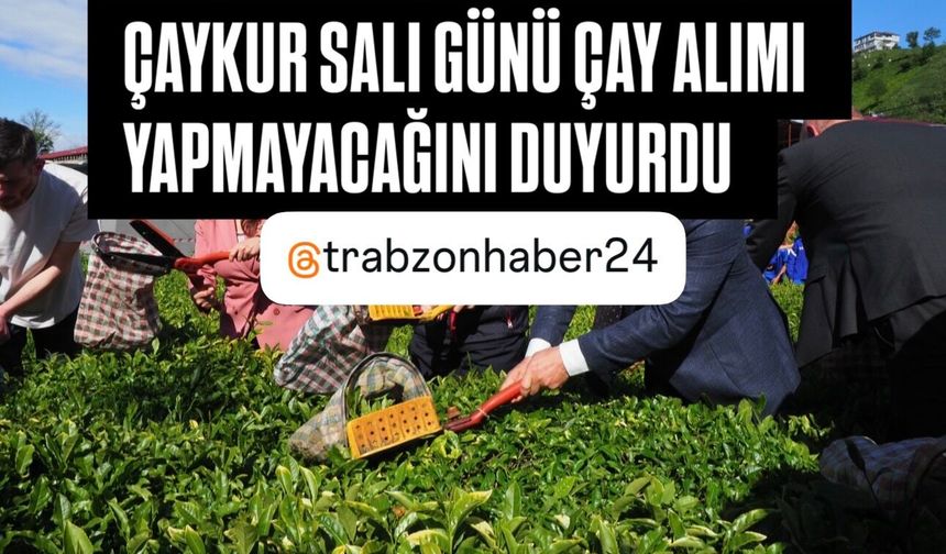ÇAYKUR SALI GÜNÜ ÇAY ALIMI YAPMAYACAK