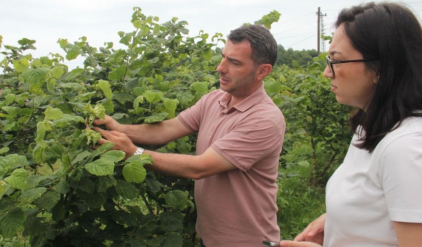 Karadeniz Havzası’nda uluslararası tarımsal iş birliği