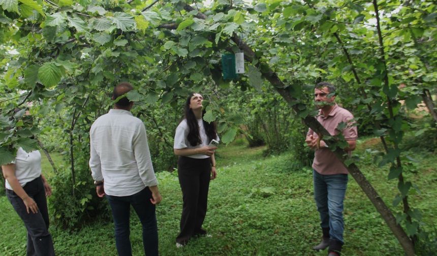 AGRICOOP Projesi İle Tarımda Dijital İzleme Dönemi…