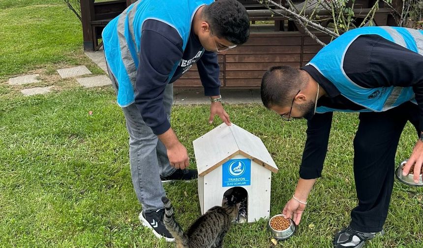 ÜLKÜ OCAKLARI’NDAN 4 EKİM HAYVANLARI KORUMA GÜNÜNDE ANLAMLI ETKİNLİK