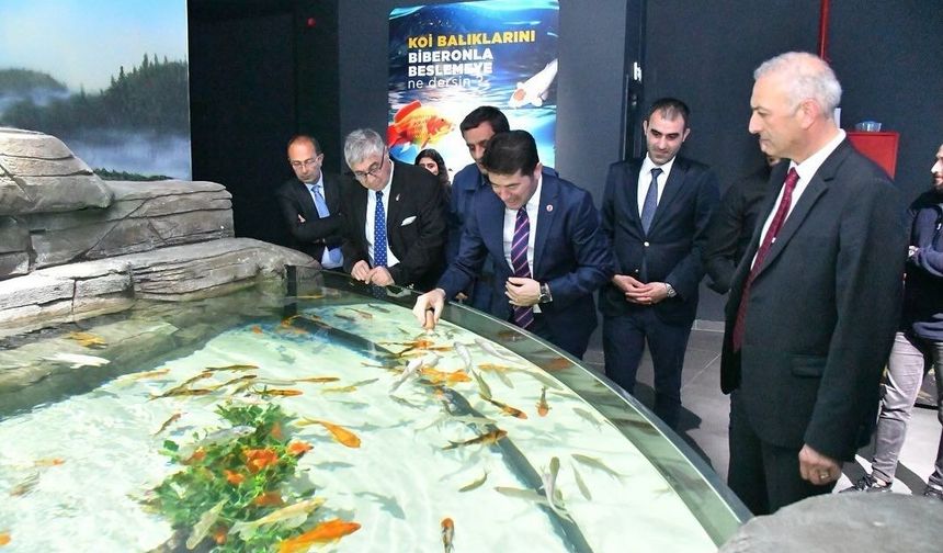 AKVARYUM VE KUŞ PARKI İLGİ ODAĞI OLDU ORTAHİSAR BELEDİYESİ’NE AİT TESİSLERİ OCAK-EYLÜL DÖNEMİNDE YAKLAŞIK 195 BİN KİŞİ Z