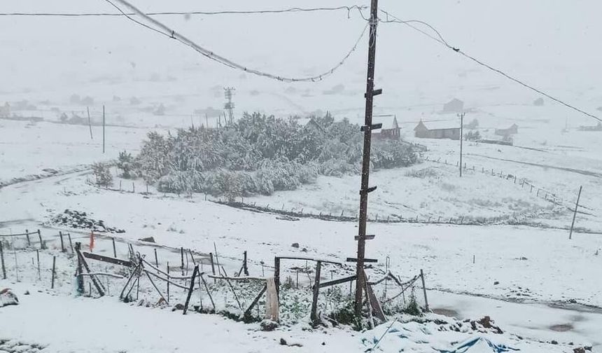 YILIN İLK KARI TRABZON YAYLALARINA DÜŞTÜ