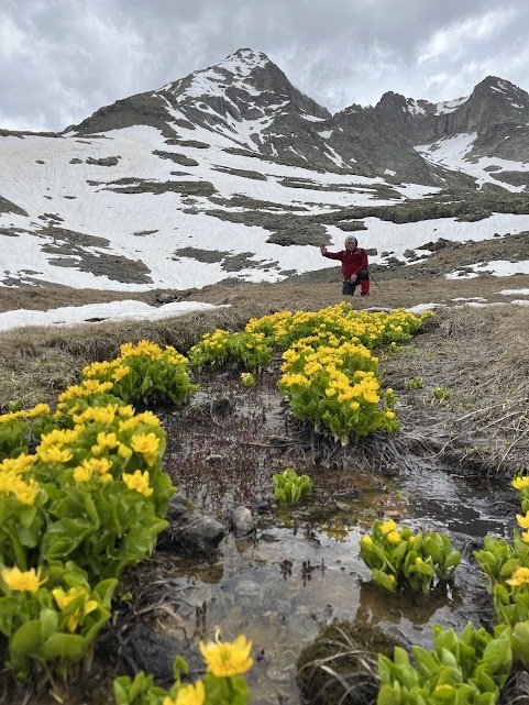 292F2025 567C 4788 Ab09 7D57107Ba225