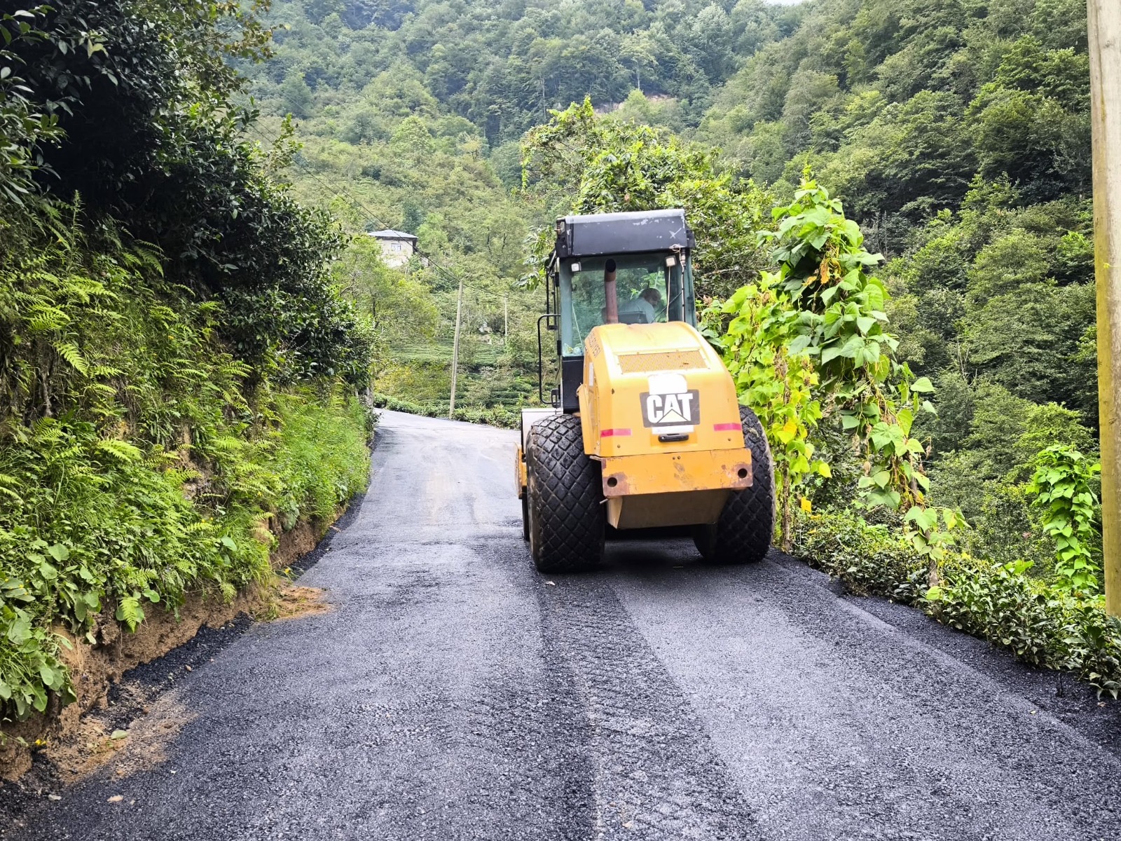 010D2C26 5B6D 463B Bcd7 Faa18842Ff59