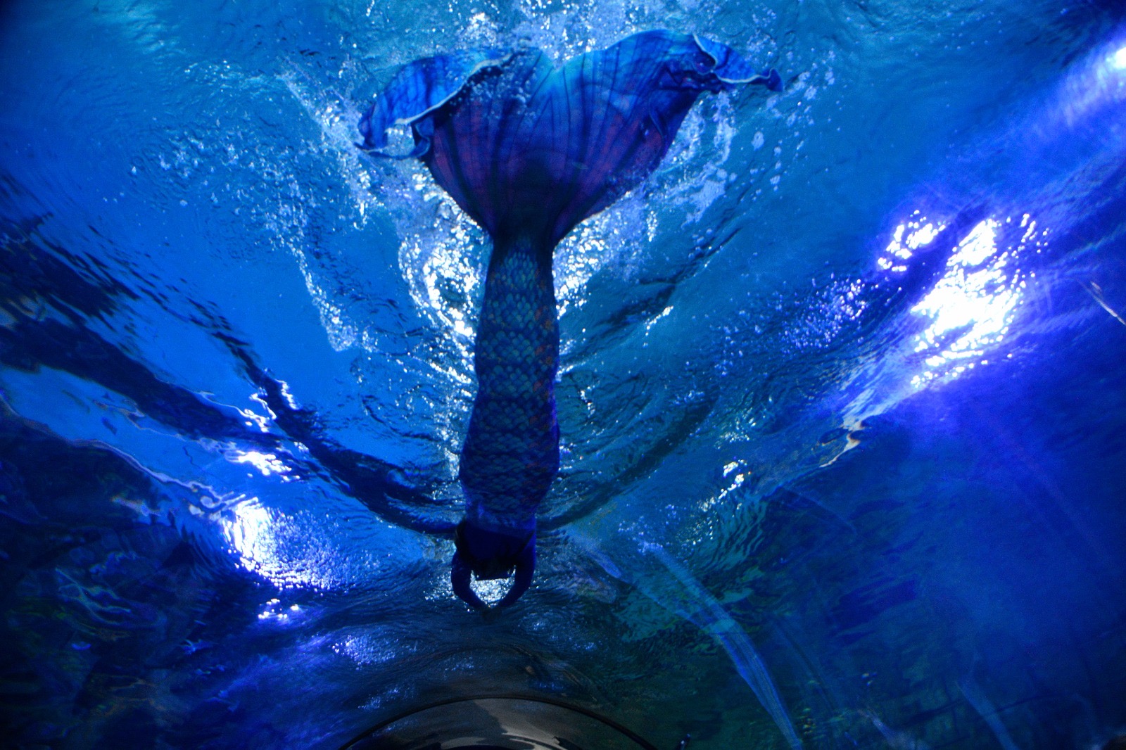 03565732 08D2 4F42 A1Db 51C9D428Ce92