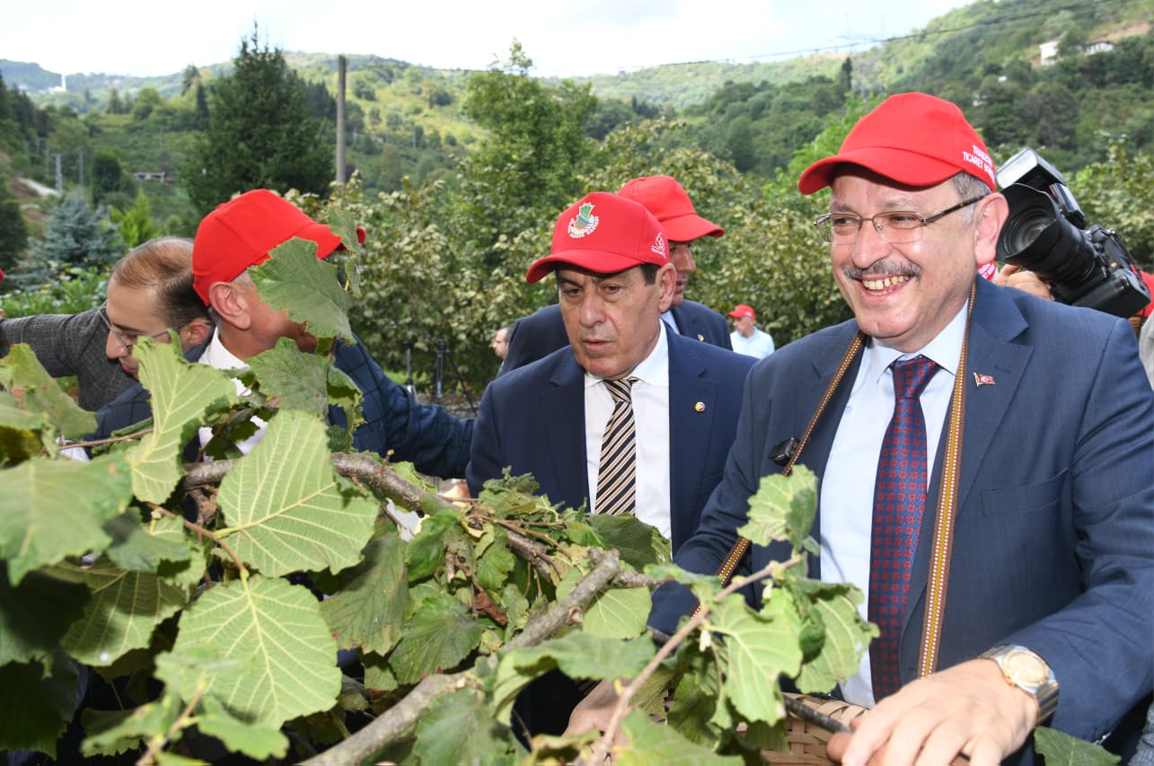 1Ae96D90 8962 4Af0 8378 58F0D7E7D8A0