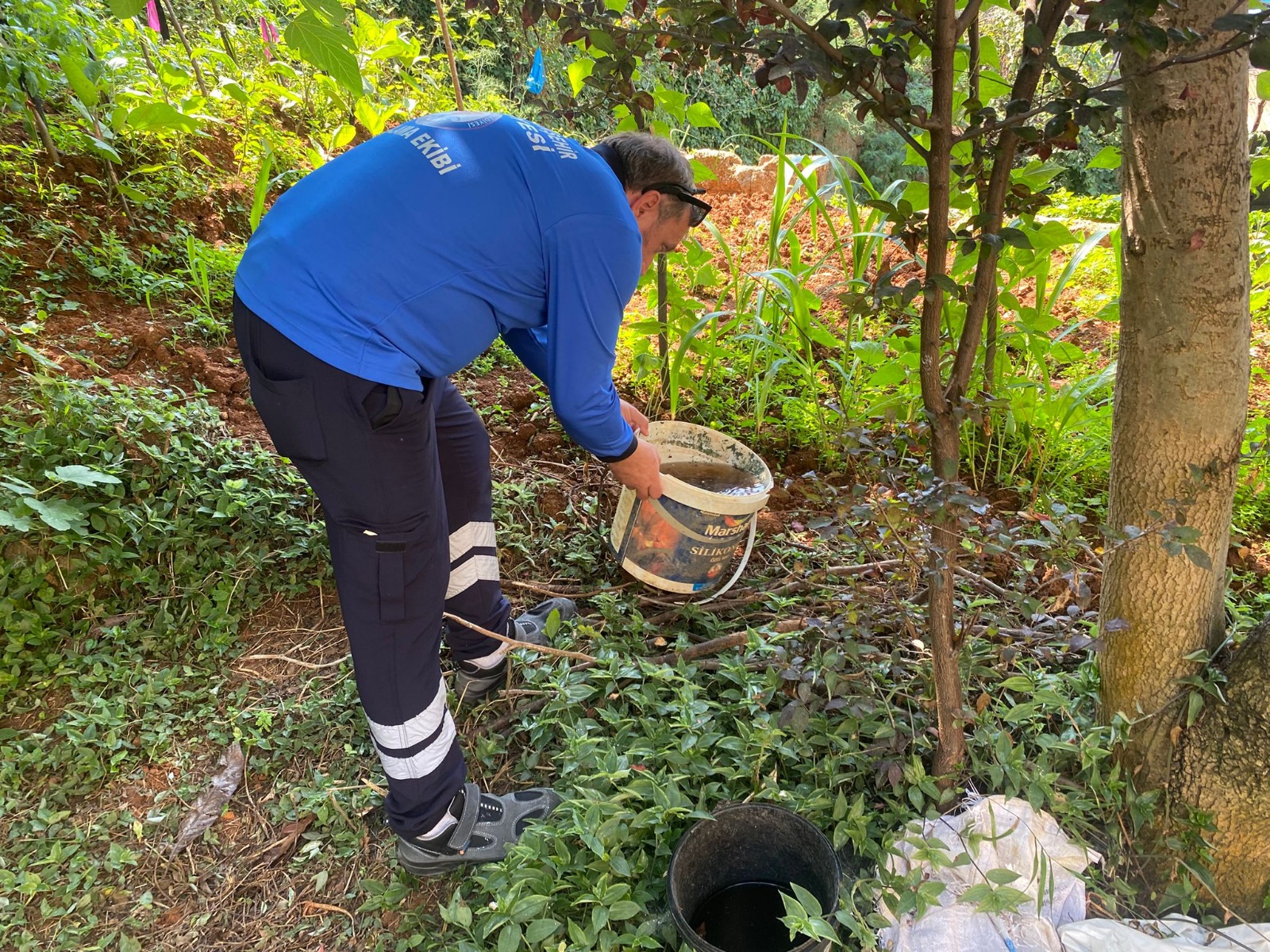 1C96Dec0 6Ee4 400B 87E2 48A913Beef82